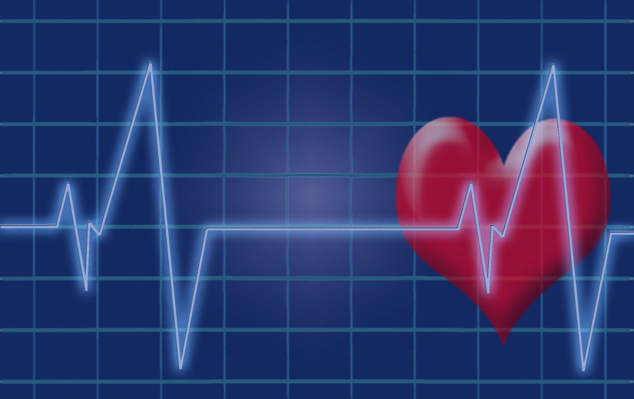 heartbeat, pulse, heart-1892826.jpg